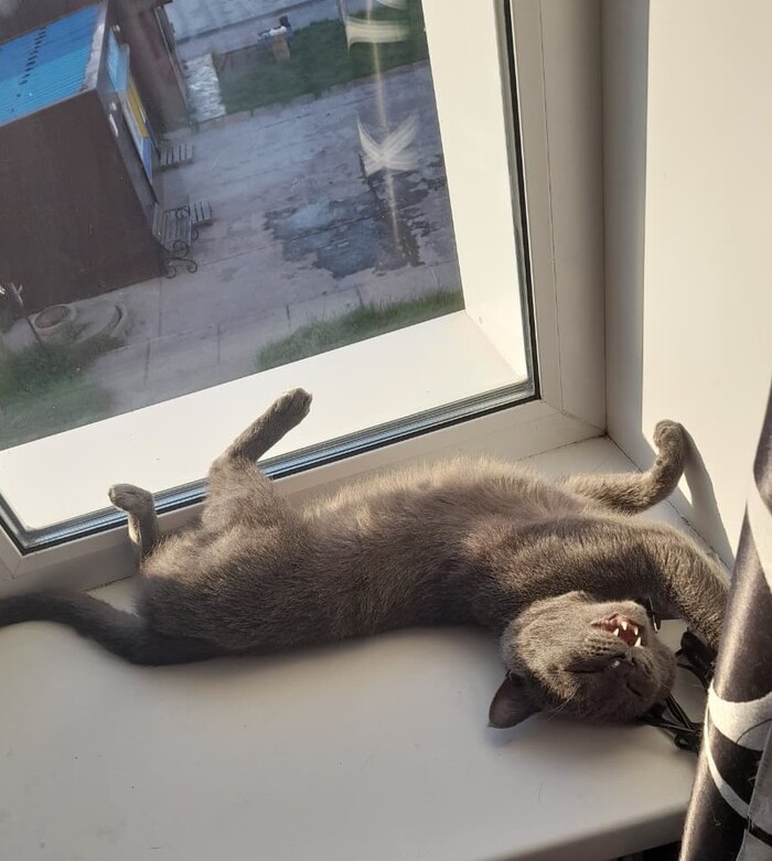 Ответ на пост «Лучший кадр 2025 года»