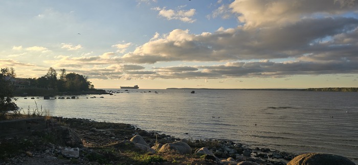 Ответ на пост «Лучший кадр 2025 года»