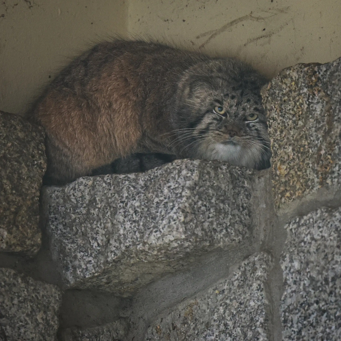 Привет от Боба