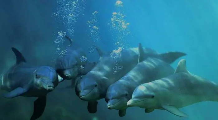 Привет, красотка! Одна здесь отдыхаешь?