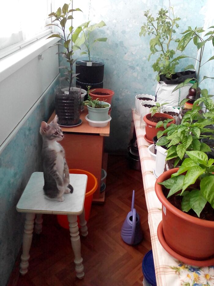 ����� �� ���� ���� ������ ���������� ����