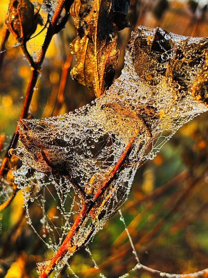 Крымский декабрь