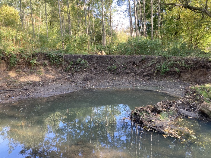 Райская природа. Индийцы и китайцы со смогом все отдадут ради этого!