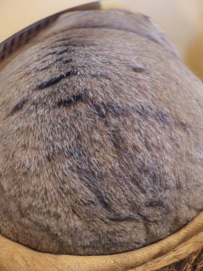 ������������