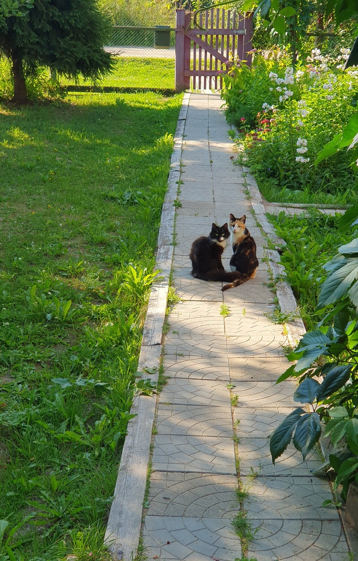 ����� �� ���� ���� ������ ���������� ����