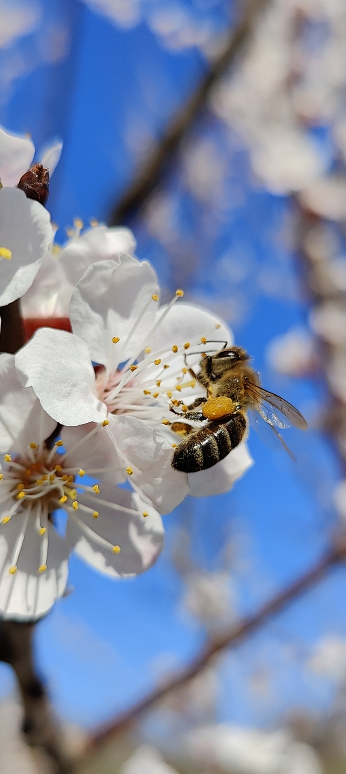 Пожалуй это мои лучшие фото, долго хранились в телефоне😊