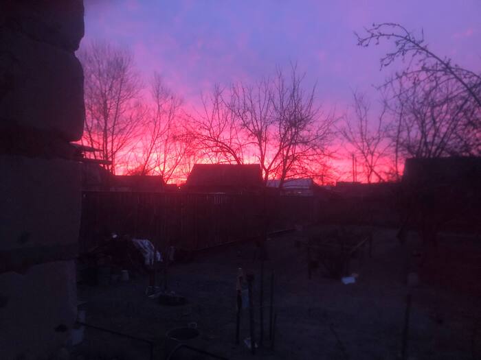 ��� ������ ���� ����� ����