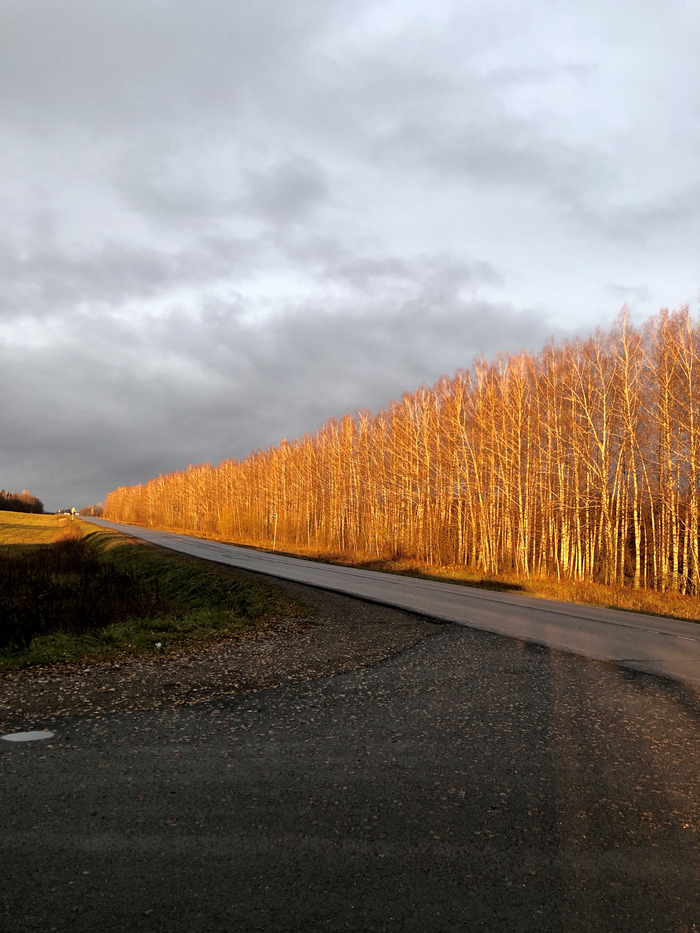 Ответ на пост «Лучший кадр 2025 года»