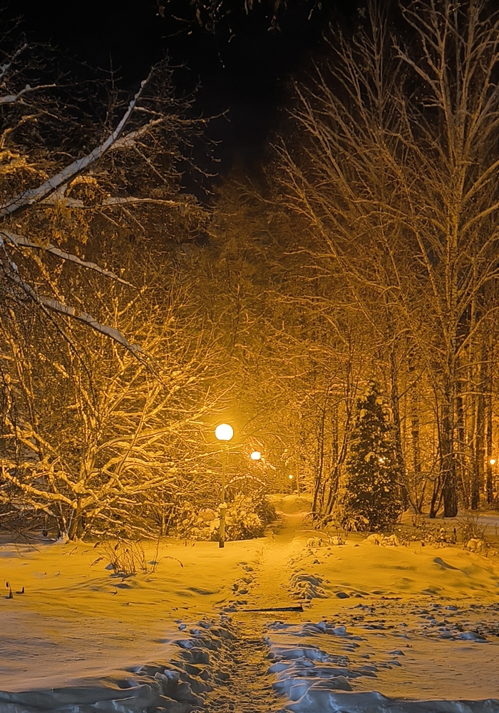 Ответ на пост «Лучший кадр 2025 года»