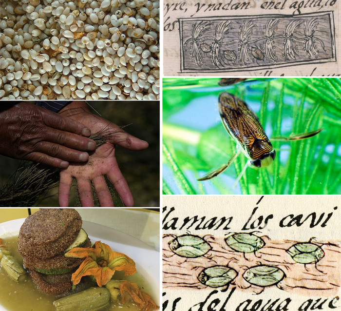 Дары рек и озёр