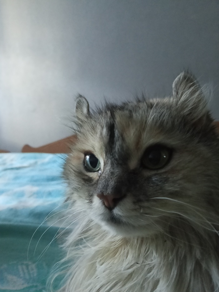 ����� �� ���� ���� ������ ���������� ����