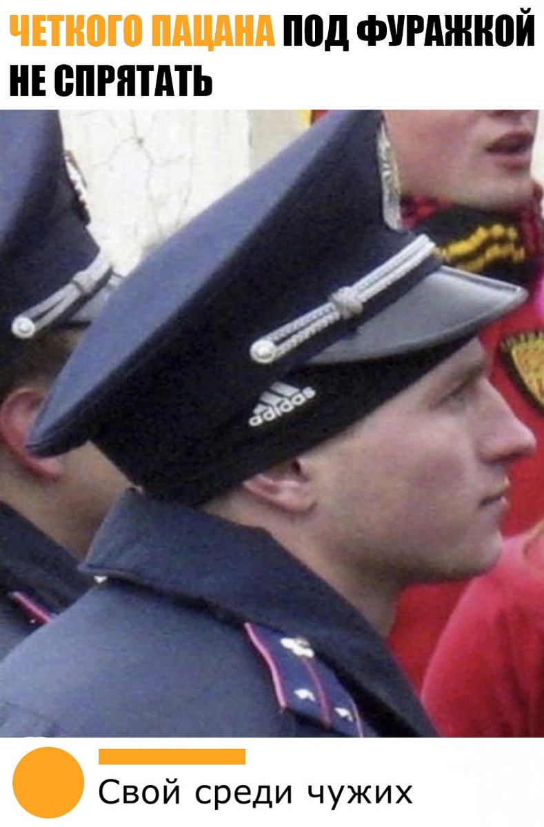 zizkwqef_lg.png