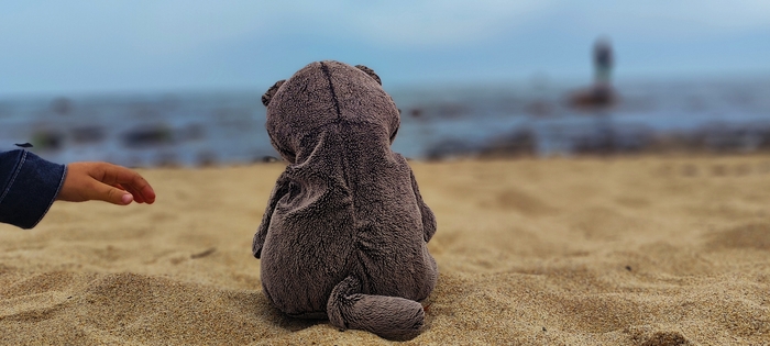 Мой лучший кадр 2025 года