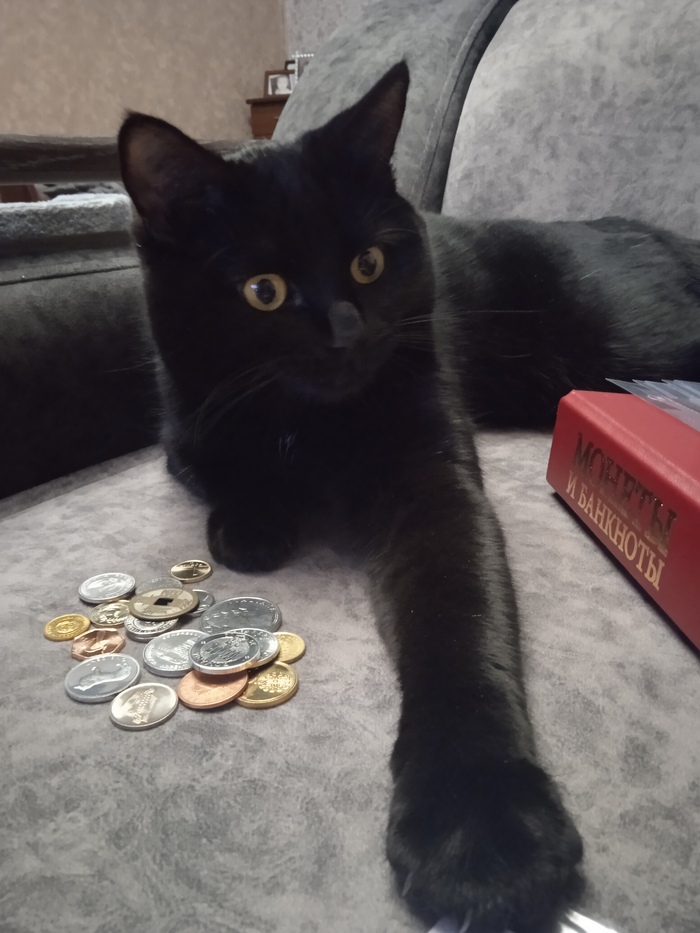 ����� �� ���� ���� ������ ���������� ����