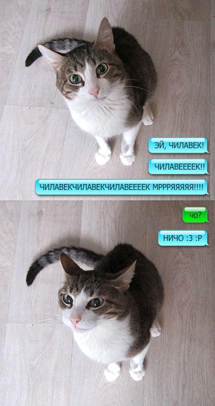 как минимум такое