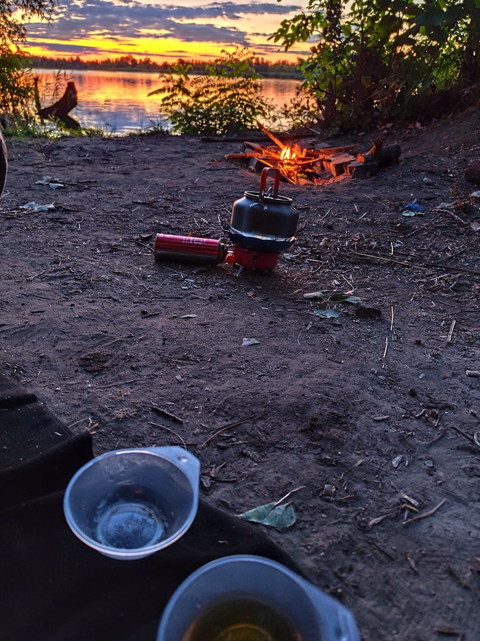 ����� �� ���� ���� ������ ���� � 2024 ����