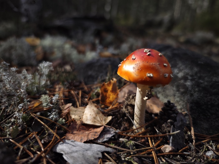 Лучший кадр 2025 года