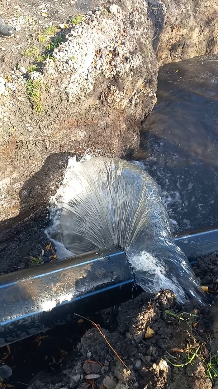 Ответ на пост «Лучший кадр 2025 года»