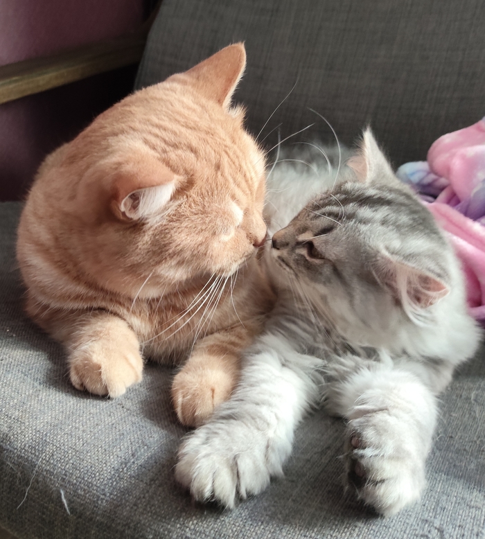 Кекс и Бусинка