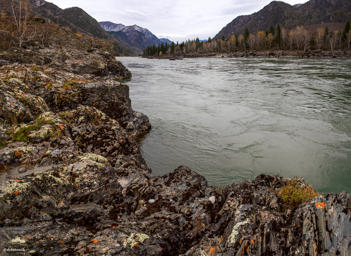Крутые берега, глубокая вода с быстрым течением и разноцветный мох.