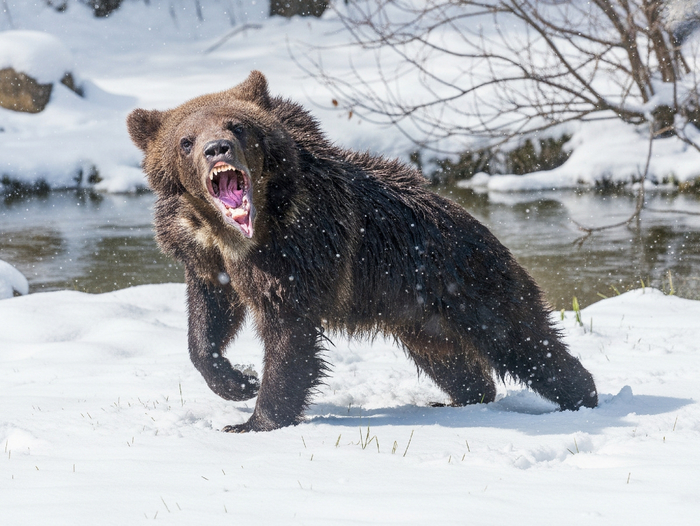 Шатун-не шатун, страшно одинаково.