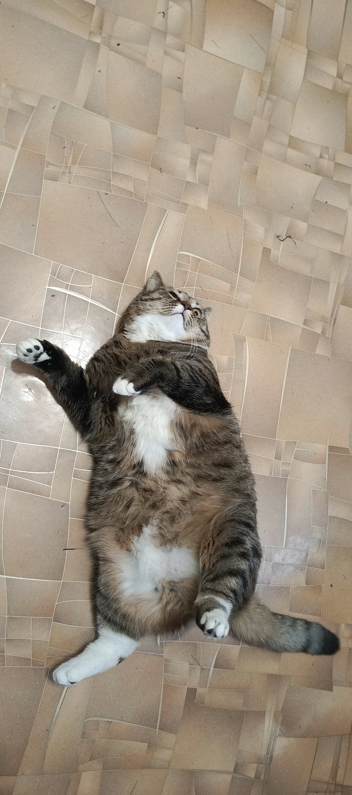 На Чили на расслаблене