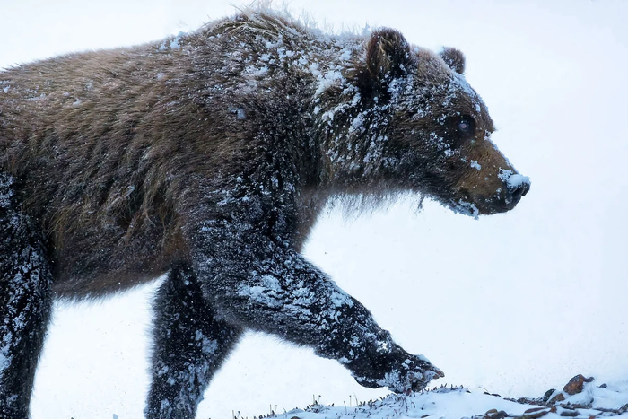 Зима близко? Нет. Зима уже пришла.