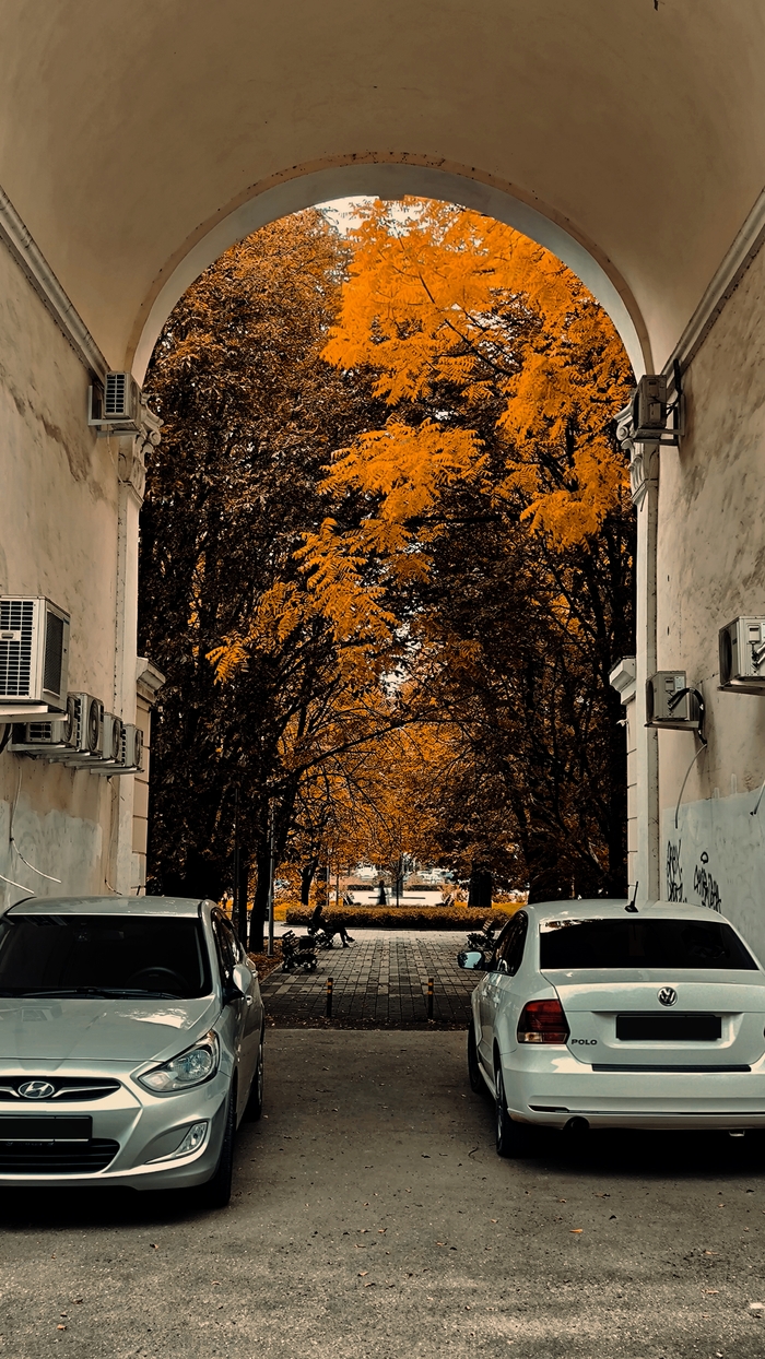 Прекрасная осень в Краснодаре.2025