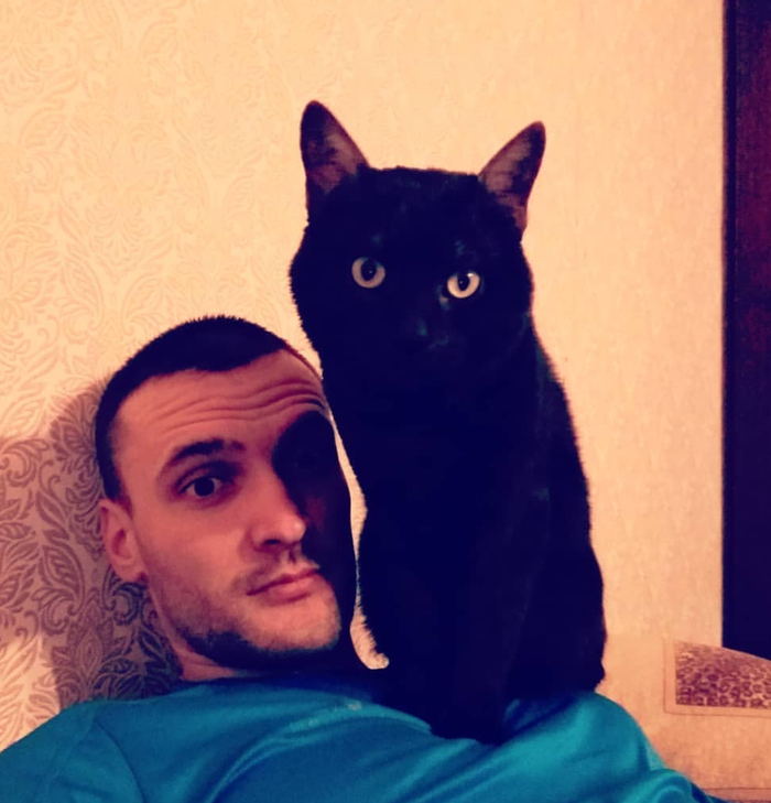 Ответ на пост «Моя лучшая фотография кота»