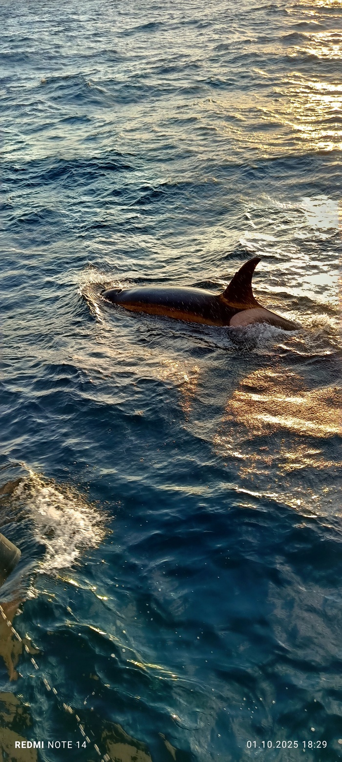 Мой лучший кадр 2025