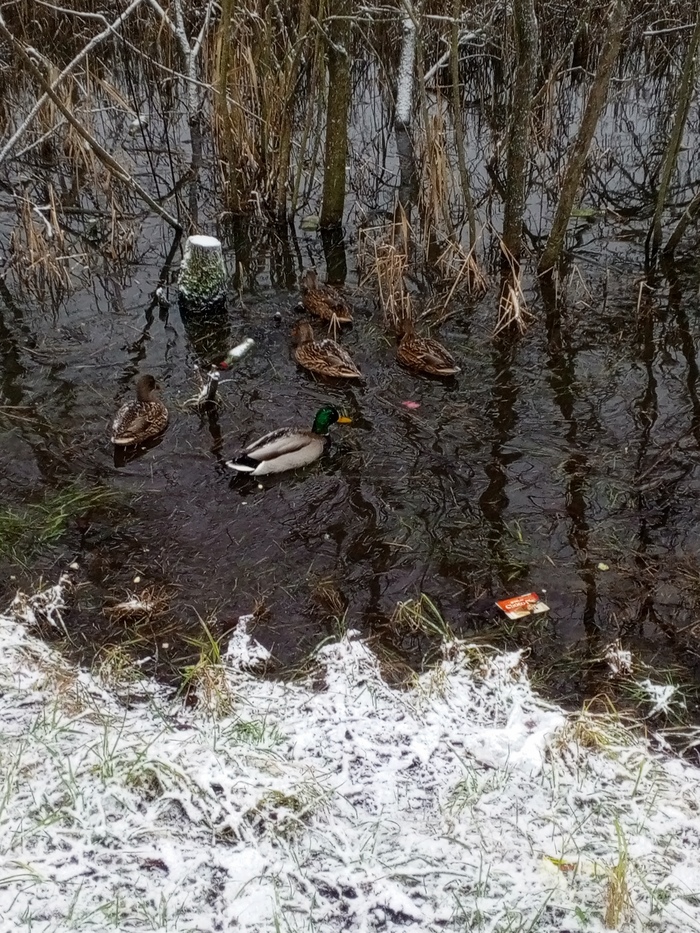 Ответ на пост «Лучший кадр 2025 года»