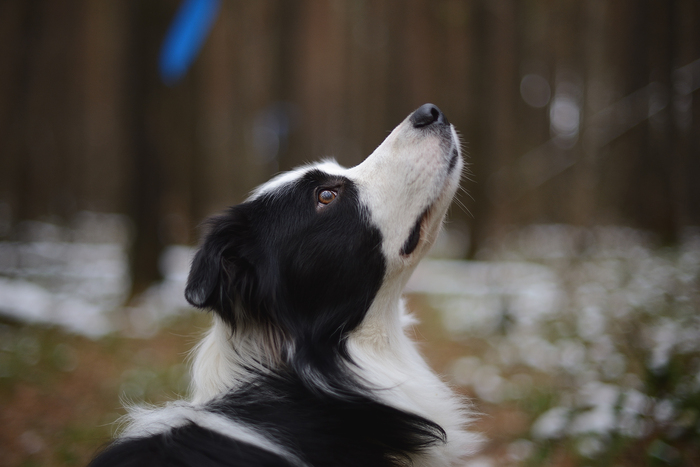 целый мир в глазах