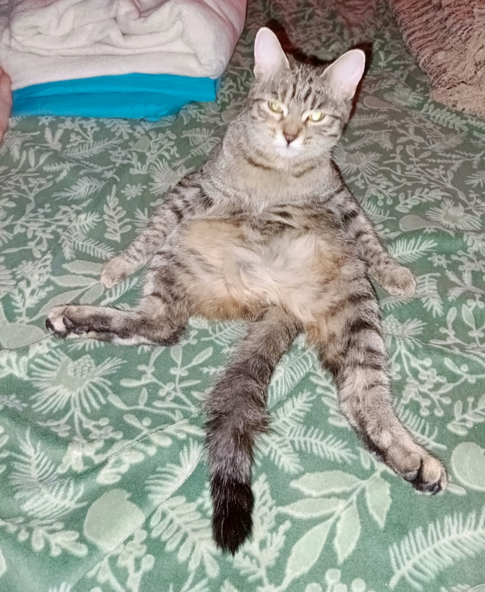 Решила покуралесить в пятницу вечером