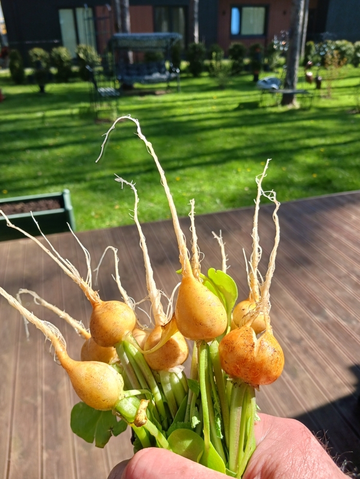 Ƹ���� ��� �� �� �����