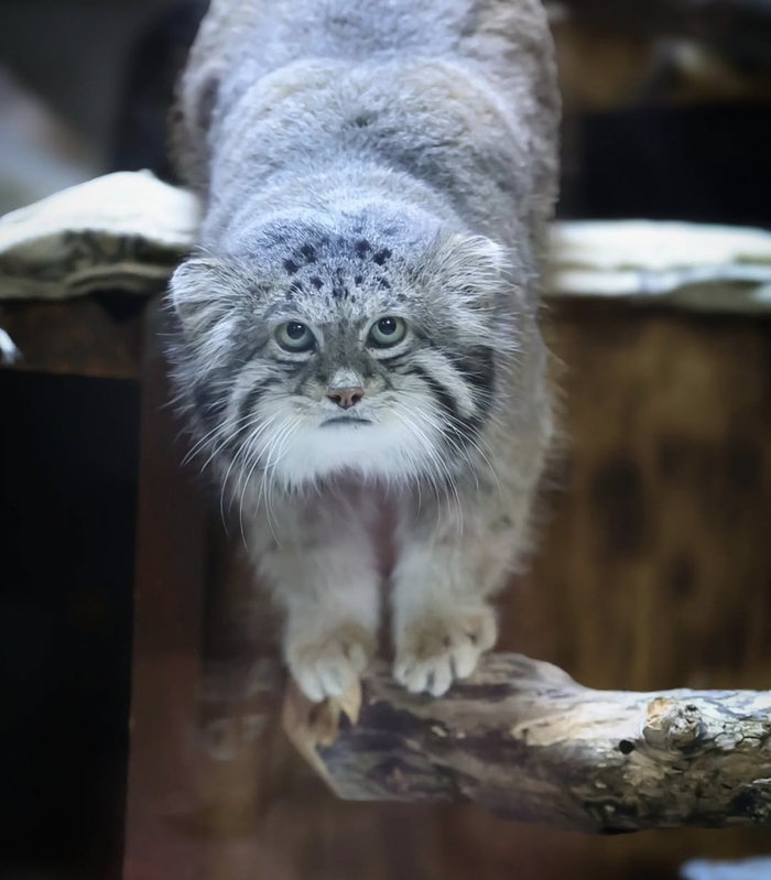 ���� ���?