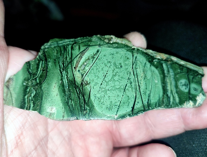 Приполированный тингуаит с канкринитом. Поачвумчорр, Хибины. Фото и образец автора. Естественное освещение