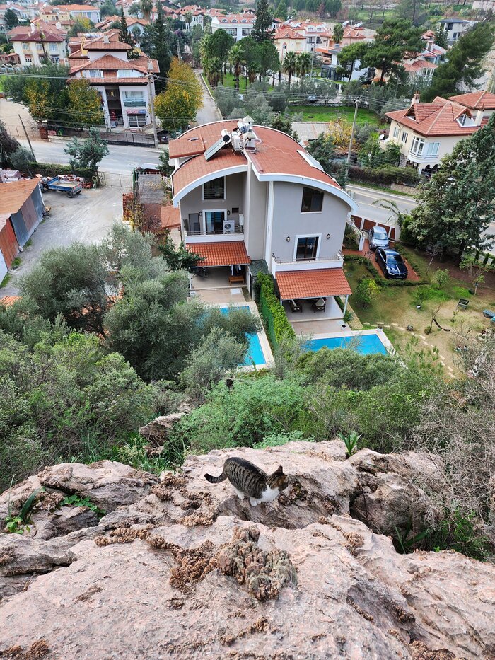 Провожала на соседнюю с виллой гору