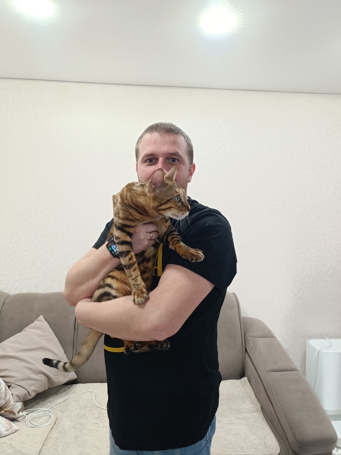 Продолжение поста «Пикабу, нужна помощь в поиске кота»