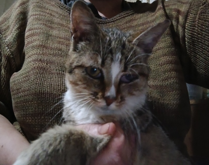 Анфиса теперь может видеть