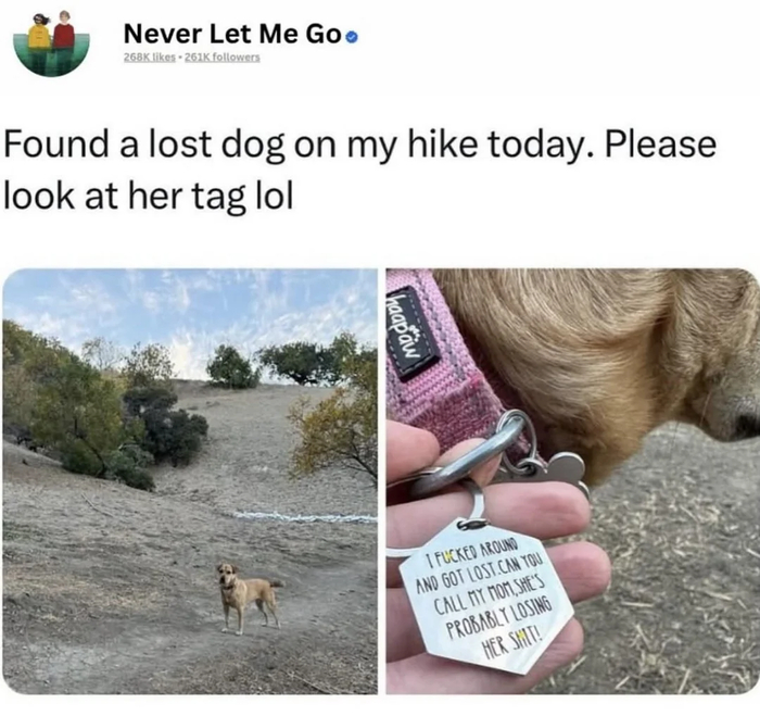 Я довыёывалась и потерялась. Можете позвонить моей маме? Она там, наверное, уже охувает!