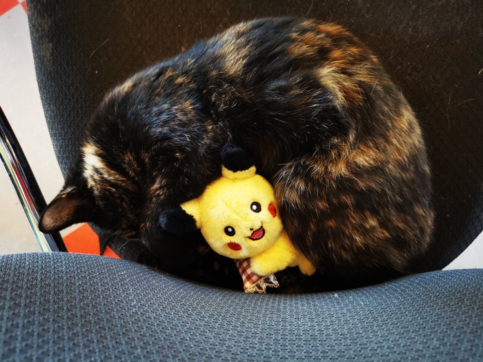 ����� �� ���� ���� ������ ���������� ����