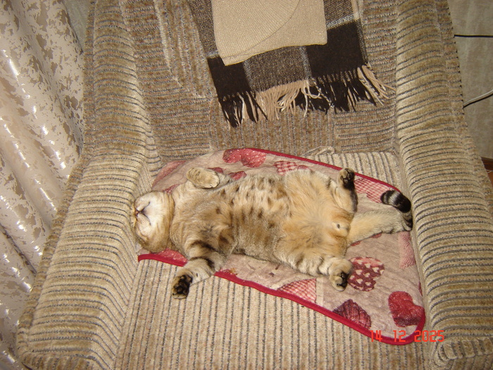 ���� � ��� ���...