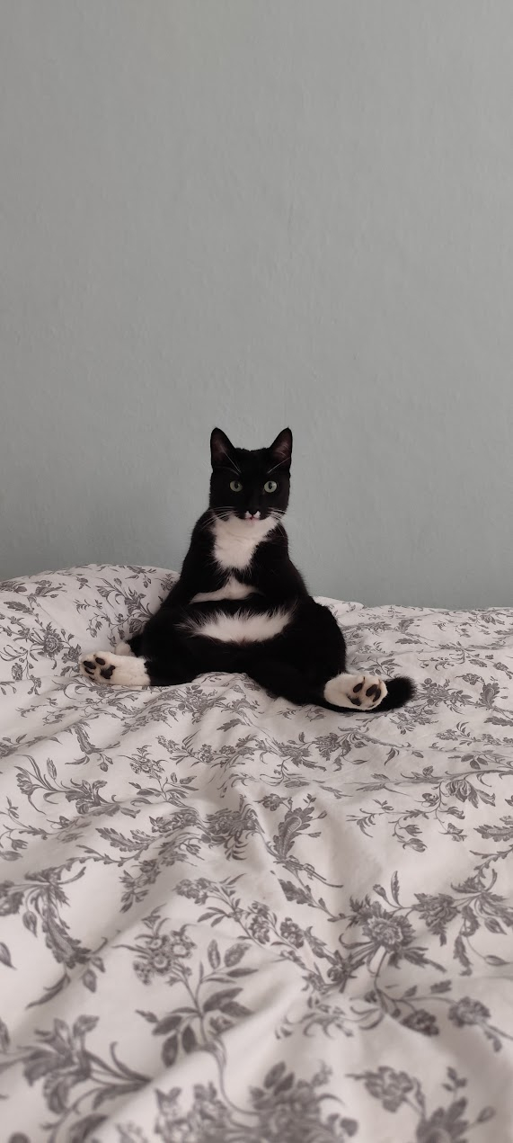 ����� �� ���� ���� ������ ���������� ����