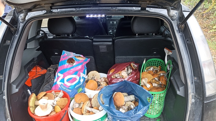 «Лучший кадр 2025 года»