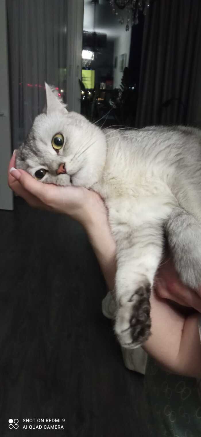 ����� �� ���� ���� ������ ���������� ����