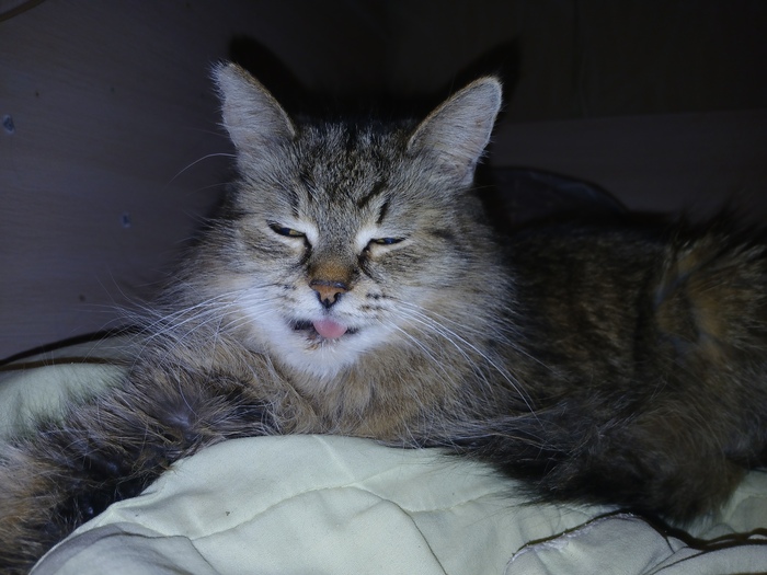 15 лет =) восточносибирское-подвальная =) 13 лет назад сказали что года не проживет =)