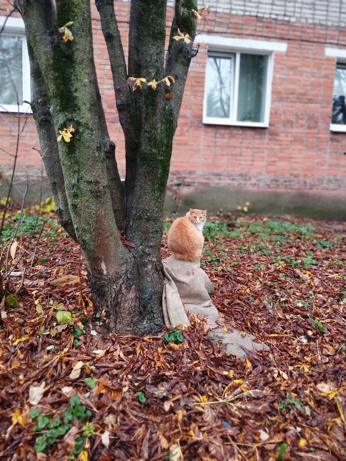 Просто фотографии