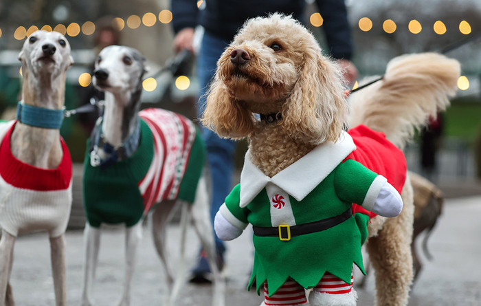   , //: Jeff J Mitchell/Getty Images