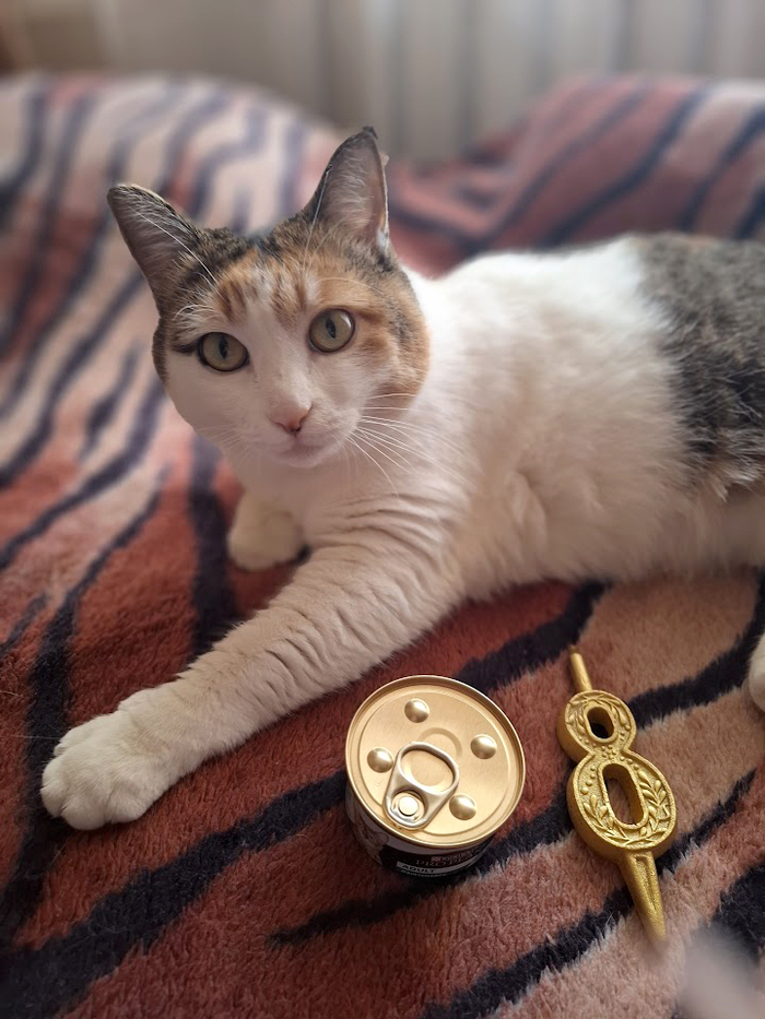 Ответ на пост «Моя лучшая фотография кота»