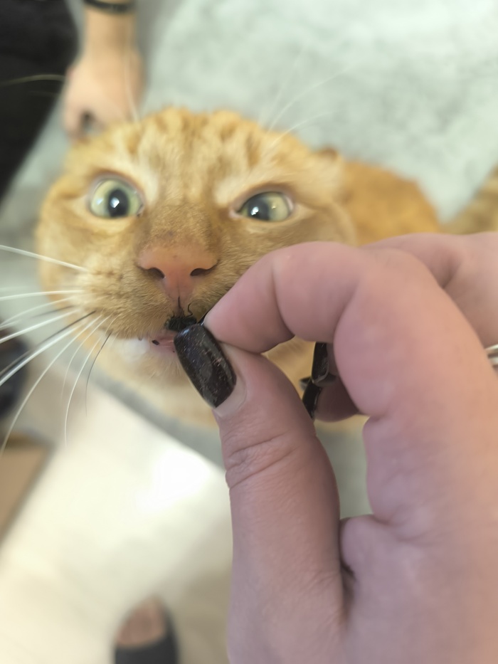 ��� ������ ���� ����